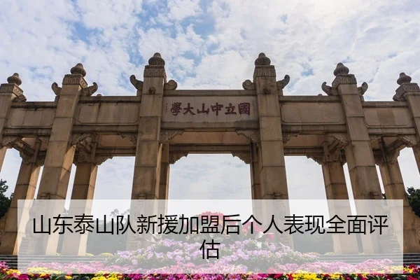 山东泰山队新援加盟后个人表现全面评估